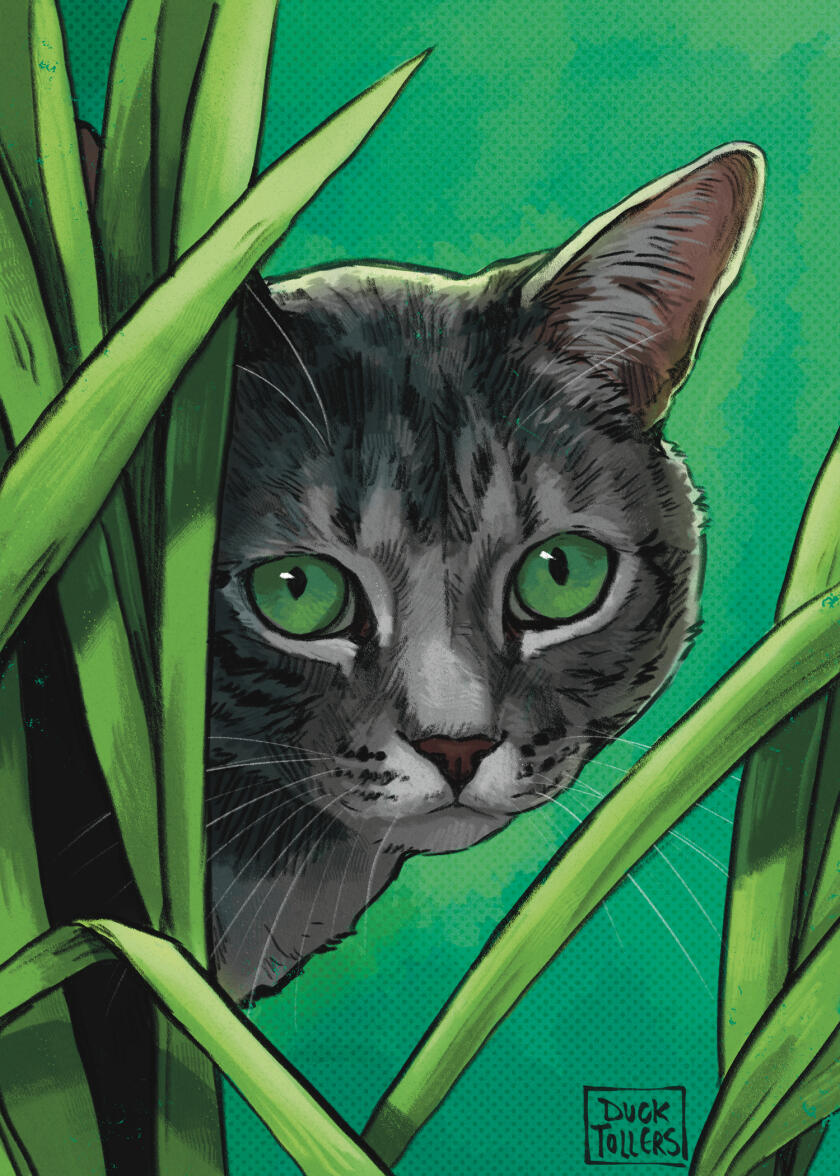 simple design = $45 + background extras = $5 total = $50