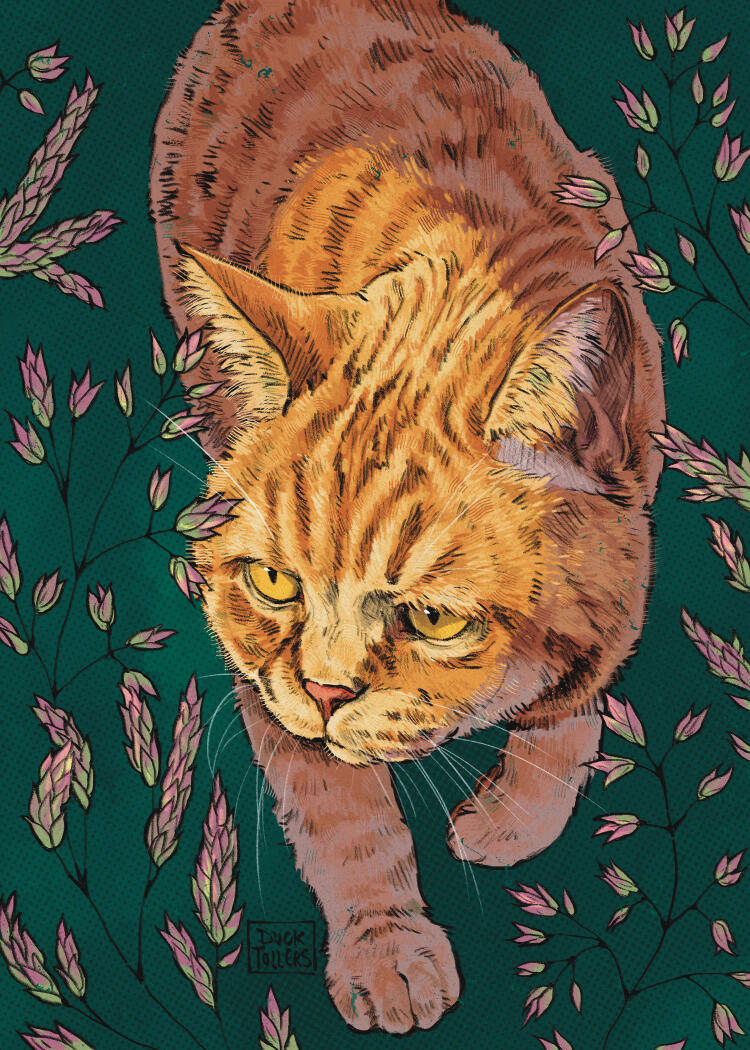 simple design = $45 + background extras = $10 total = $55