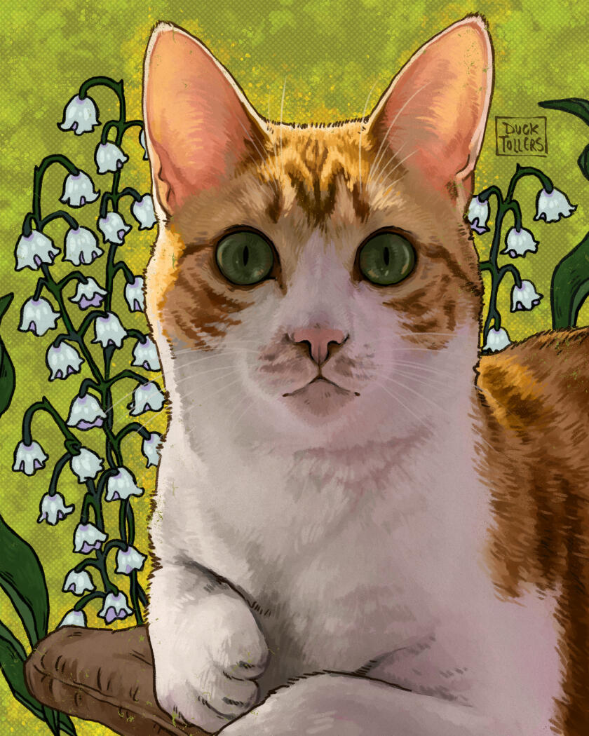 natural style, medium design = $100 + background extras = $10 total = $110