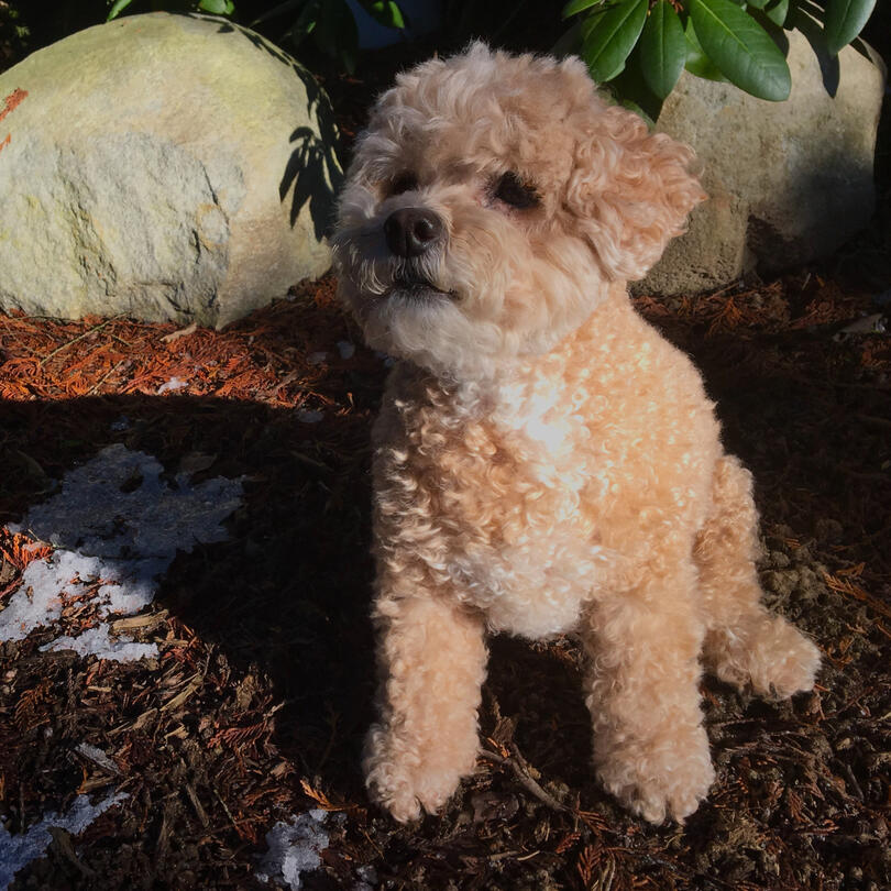 great: meets all the criteria