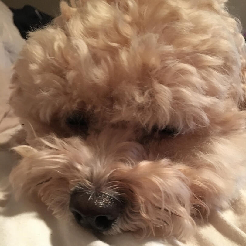 poor: too close to her face