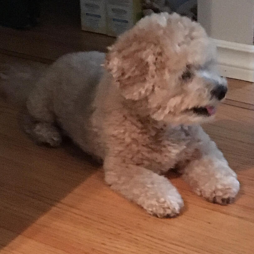 poor: blurry, can&#39;t really see her face