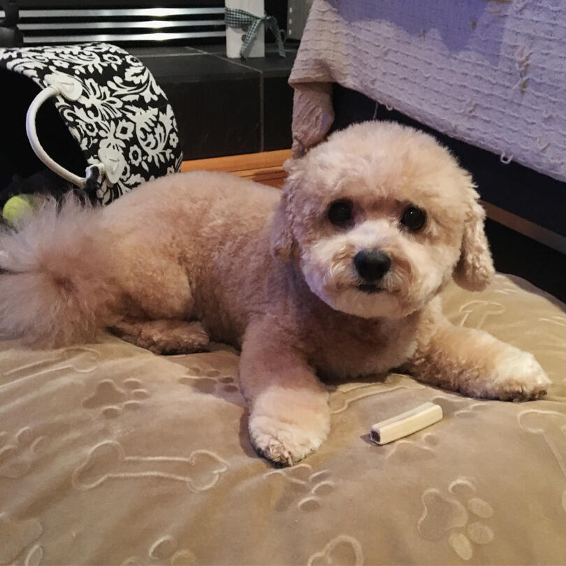 good: well-framed, but lower quality